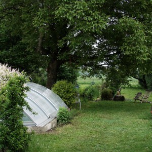 Galerie - Garten mit Pool beim alten Nussbaum