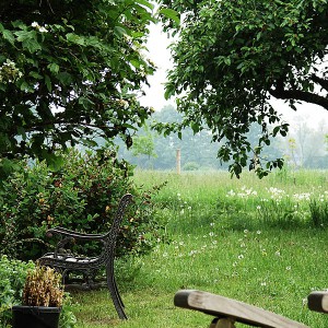 Galerie - Garten am Teich beim Apfelbaum und der Wiese