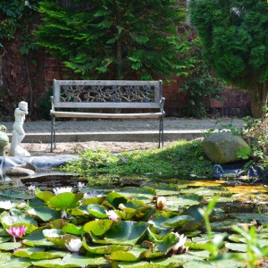 Galerie - Teich mit Antiker Bank auf dem Landhof